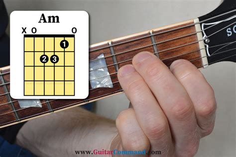 Am/D Chord Guitar Instructions. To play the Am/D chord on your guitar, picture the Am/D chord chart shown to the left above as your fret board and neck (if you were to stand your guitar up vertically). The horizontal lines represent the fret bars, the vertical lines show the strings and the dots show where to place your fingers.